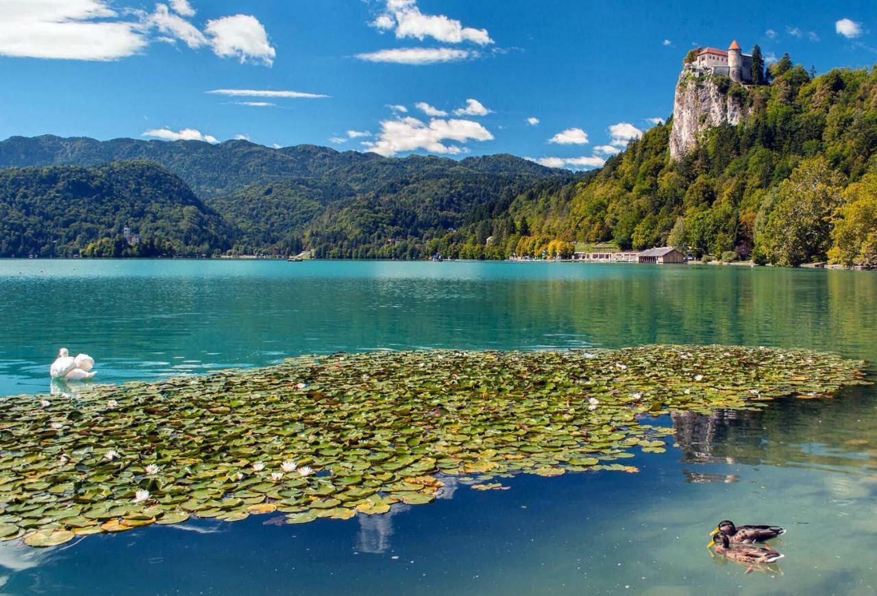 Apartma As Bled Buitenkant foto