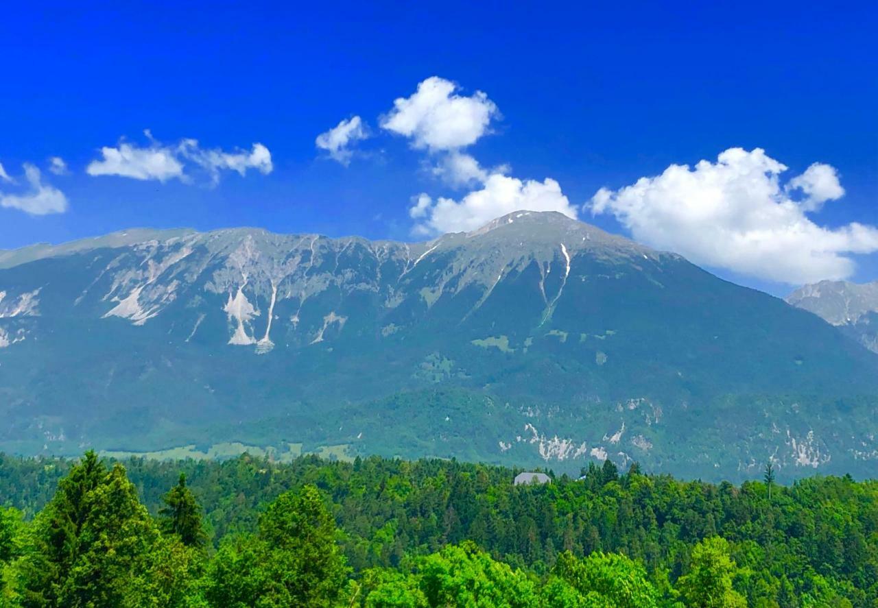 Apartma As Bled Buitenkant foto